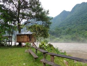 Jigmechu Tree House Camp